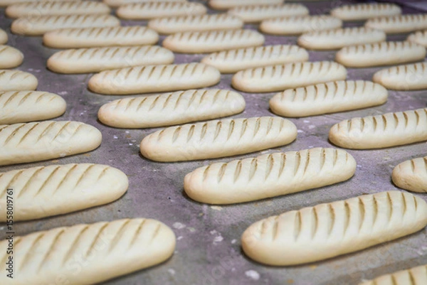 Fototapeta Dough loaves placed on trays for baking in a busy bakery plant during early morning production hours