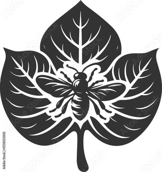 Obraz Vector of a insect silhouette black illustration drawing