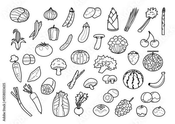 Obraz 野菜ときのこと果物のイラストセット　白黒