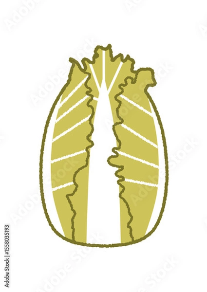 Obraz 白菜のイラスト