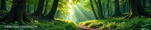Fototapeta Tranquil Sun-Dappled Forest Lush Undergrowth, Ancient Trees, and Untouched Wilderness