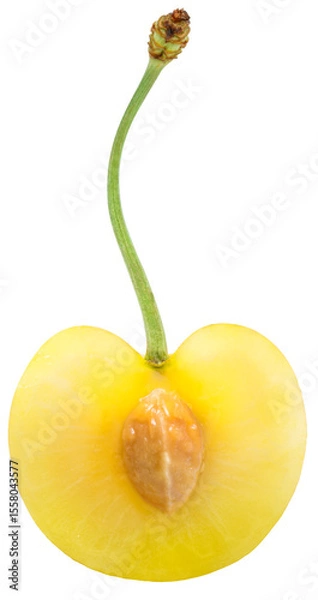 Obraz Yellow and Red Cherry isolated on white background, Yellow and Red Cherry on White Background With clipping path PNG file.