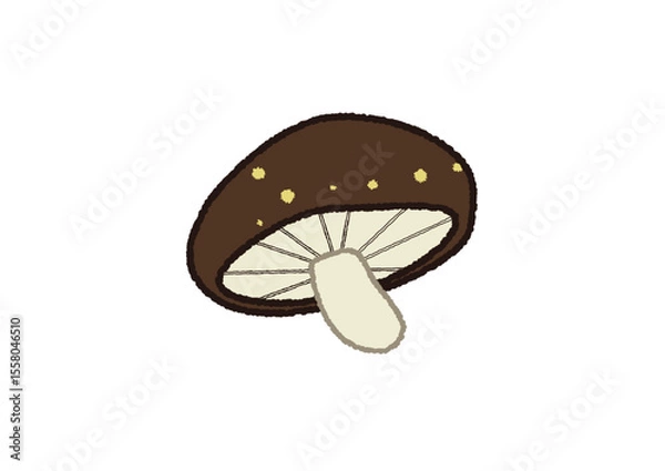 Obraz 椎茸のイラスト