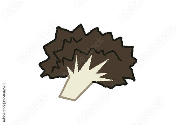 Obraz まいたけのイラスト