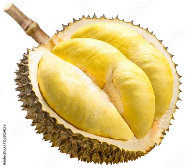 Obraz Fresh Durian fruit isolated on white background, Monthong Thai Durian fruit on white PNG file.