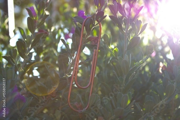 Obraz rose gold paperclip up close