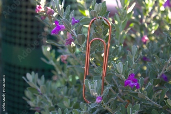 Obraz rose gold paperclip up close