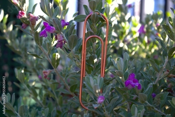 Obraz rose gold paperclip up close