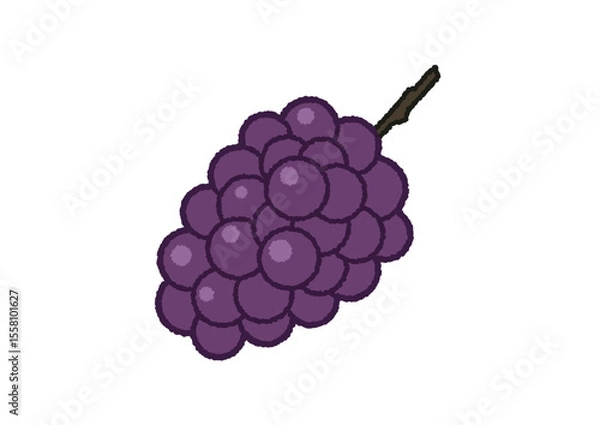 Obraz 葡萄のイラスト