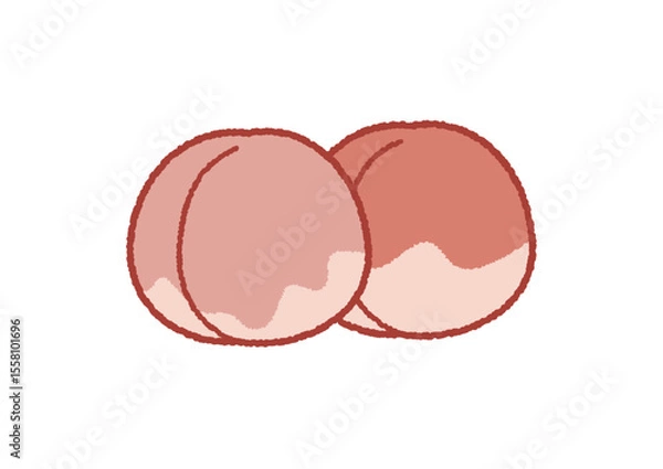 Obraz モモのイラスト