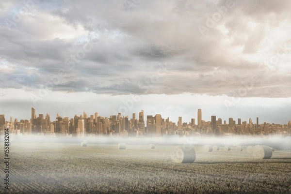 Obraz Large city on the horizon