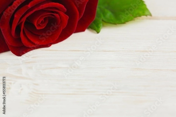 Obraz Flat design red rose bloom is resting on pale wooden tabletop, showing petals and green leaves