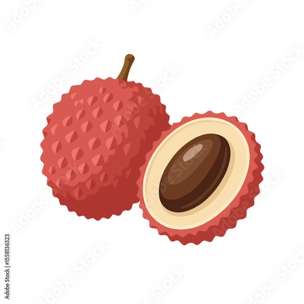 Obraz lychee fruit vector illustration 