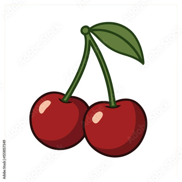 Obraz cherries vector illustration, cherry vector