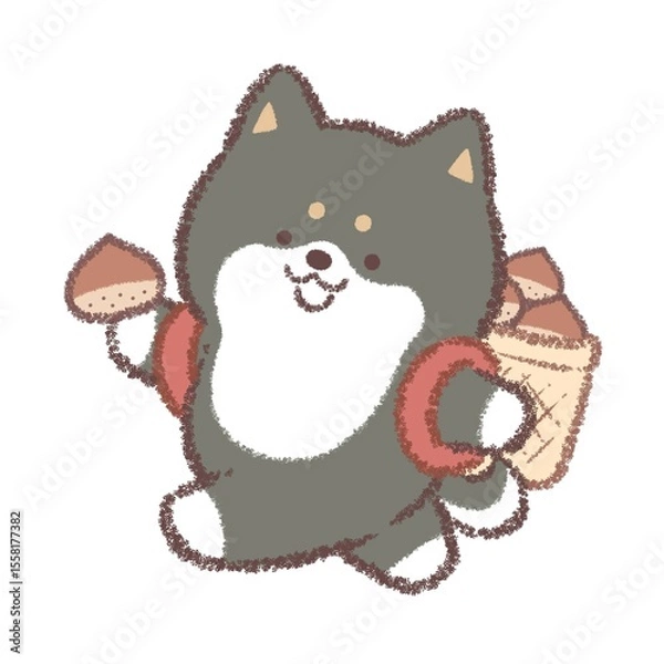 Fototapeta 栗拾いをする黒柴犬