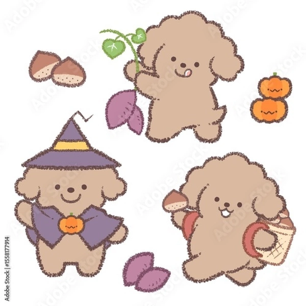 Fototapeta 秋のイベントとトイプードルバリエーションセット