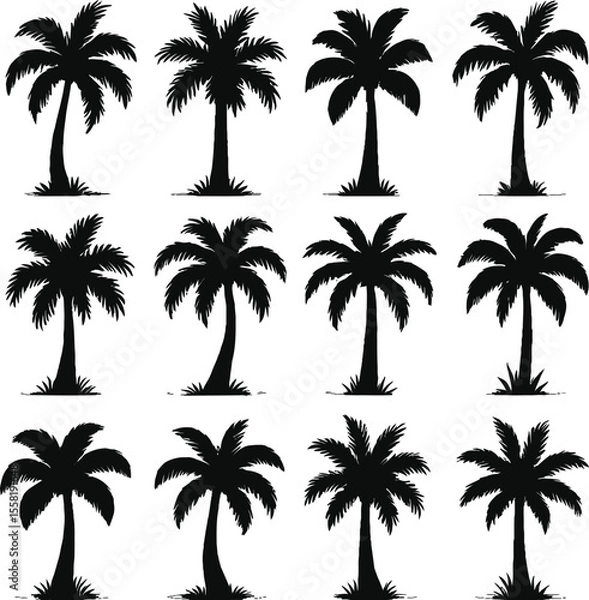 Obraz palm trees silhouette set, tropical