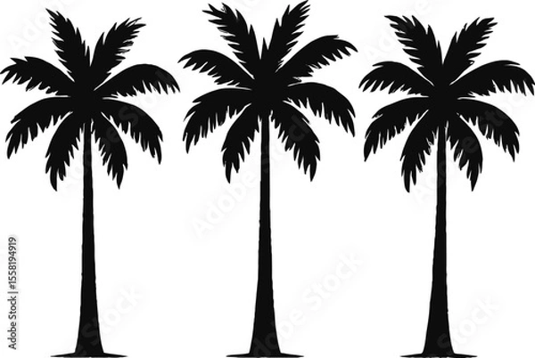 Obraz silhouette of three palm trees
