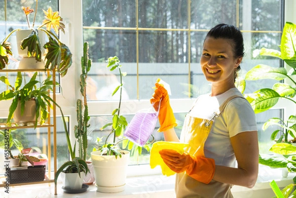 Fototapeta Woman Portrait in rubber gloves and apron manually washes window of house with rag cleaner and mop inside interior with home plants. Restoring order and cleanliness in spring, cleaning servise