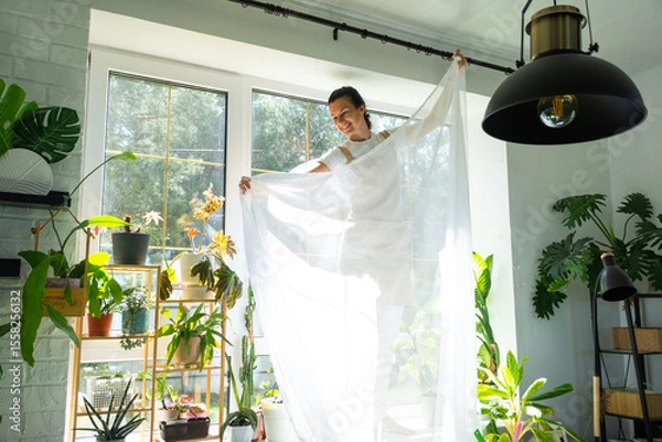 Fototapeta Woman in apron hangs transparent tulle curtains on large windows in the house inside the interior with potted plants. Spring cleaning, tidying up