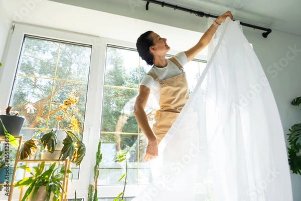 Fototapeta Woman in apron hangs transparent tulle curtains on large windows in the house inside the interior with potted plants. Spring cleaning, tidying up