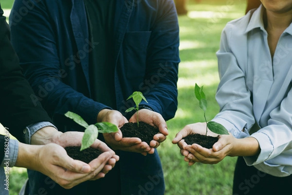 Fototapeta Concept of the Environment World Earth Day. Business hands holding green plants in soil together are the symbol of green business company and collaboration in a green business.