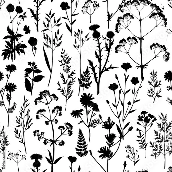 Obraz Seamless vector pattern with black silhouettes of wild meadow herbs and flowers. Botanical floral background for fabric, wrapping paper, eco packaging, wallpapers, and digital design.