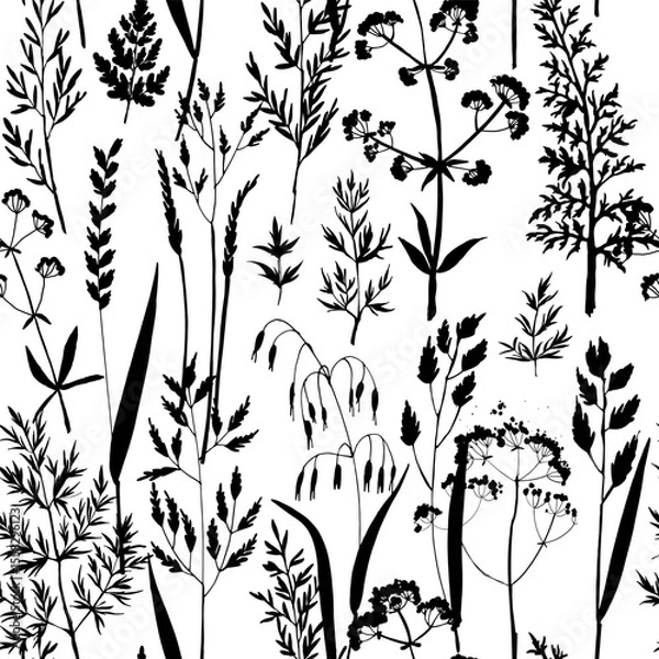 Obraz Seamless vector pattern with black silhouettes of wild meadow herbs and flowers. Botanical floral background for fabric, wrapping paper, eco packaging, wallpapers, and digital design.