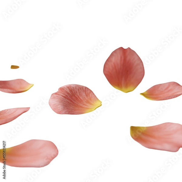 Obraz Delicate pink rose petals floating