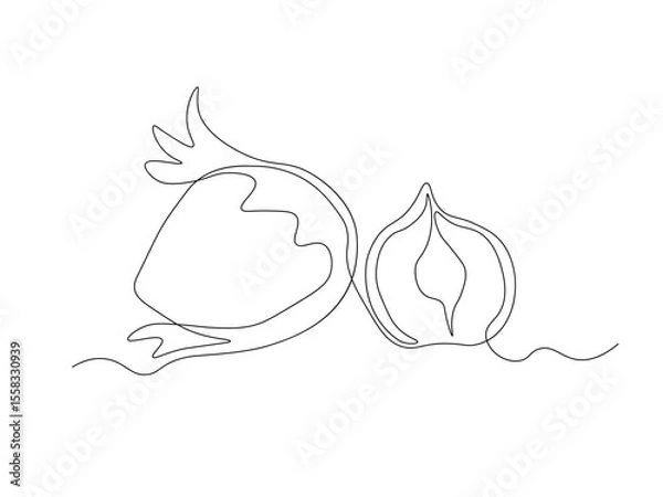Obraz Abstract hazelnut, filbert, continuous single one line art hand drawing sketch logo