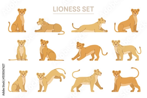 Fototapeta Lioness Set in Different Positions