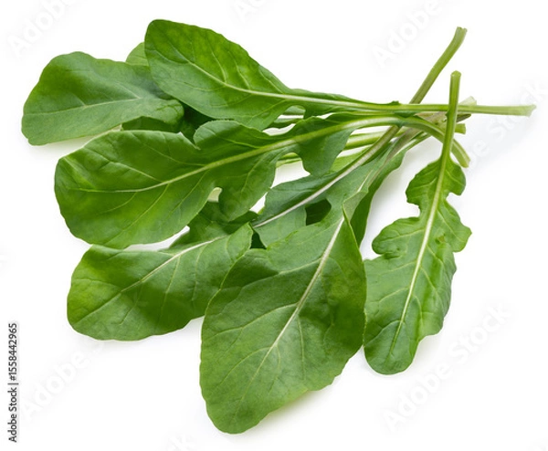 Obraz Fresh, crisp, and full of flavor Rocket leaves in their purest form, isolated on white background.