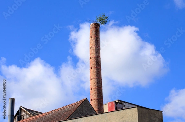Fototapeta Old brick chimney with small trees and plants growing from its top part standing against a bright blue sky with fluffy white clouds creating a striking natural urban scene.