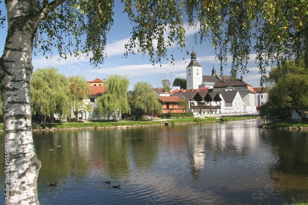 Obraz Stadt Regen am Fluß