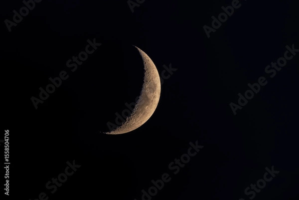 Fototapeta A sharp crescent moon glows against the dark night sky, revealing detailed surface textures in a peaceful celestial scene captured with clarity.