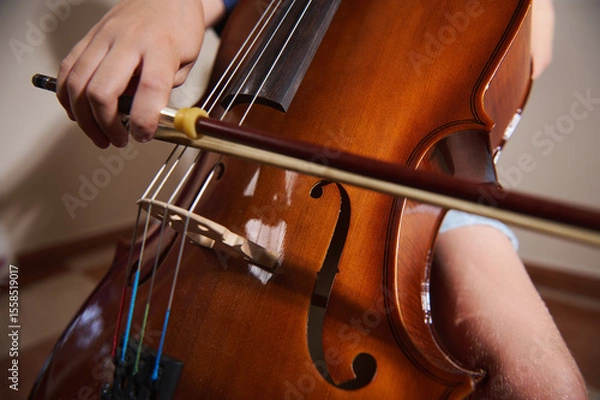 Fototapeta Close-Up View of a Musician Playing a Cello, Showcasing Strings and Bow