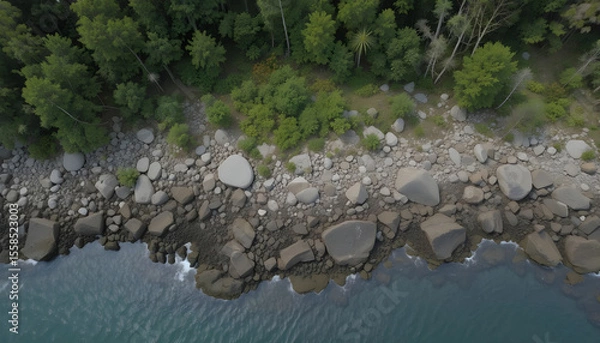 Fototapeta Aerial View of Rocky Shoreline with Lush Green Forest On Edge