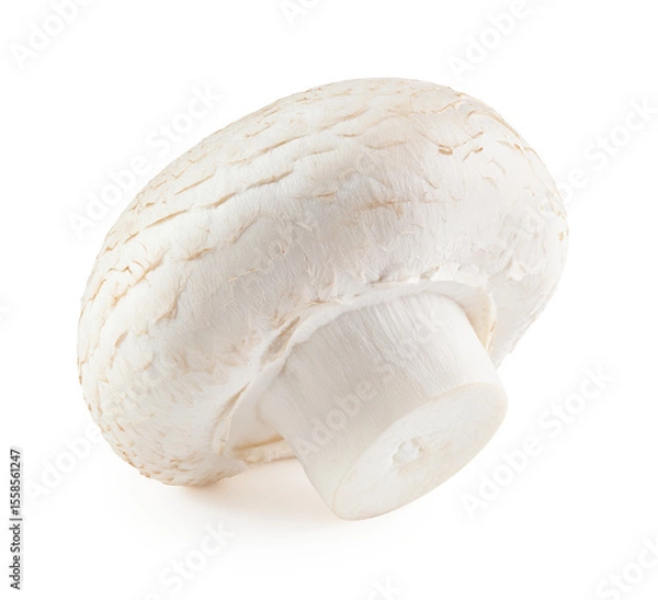Obraz Champignon mushroom without background. Packaging design element