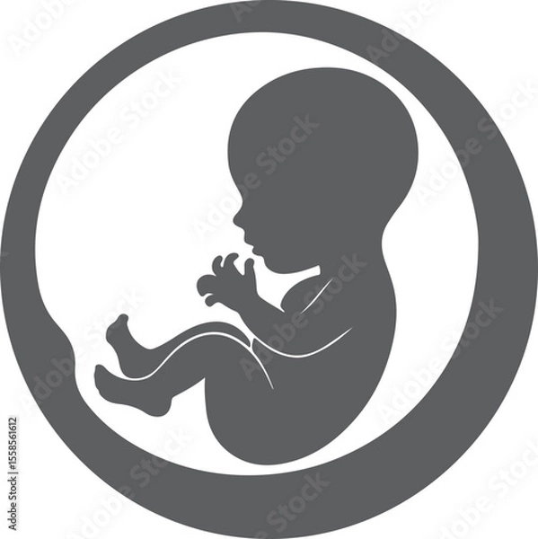 Fototapeta Grey silhouette of a fetus in a womb a simple graphic design representing pregnancy and new life a minimalist illustration of a baby in utero a