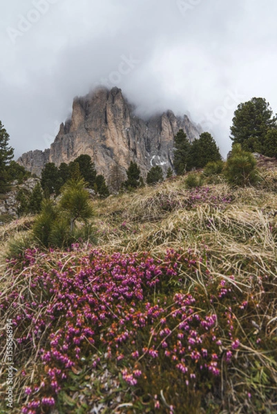 Fototapeta Sassolungo mountain peak partially in clouds, rocky slope with sign and alpine flowers in Dolomites, Italy.