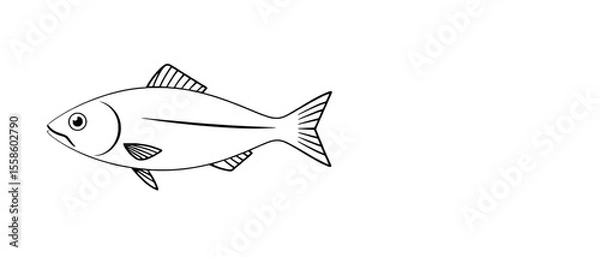 Fototapeta a black and white drawing of a fish on a white background. The fish is depicted in great detail, with its fins, scales, and eyes clearly visible
