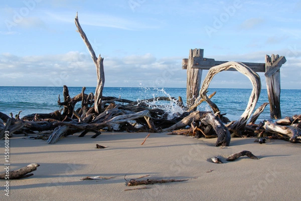 Obraz Driftwood

