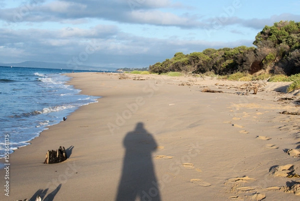 Fototapeta A shadow on the beach,