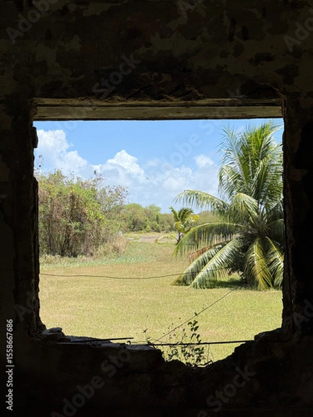 Fototapeta After war