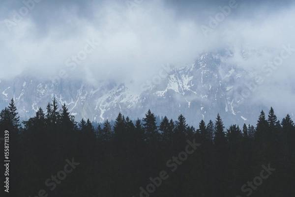 Fototapeta Misty forest and mountain slope covered with pine trees on a foggy day, peaceful nature scenery in the Alps.