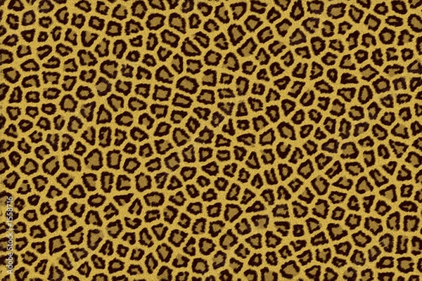 Fototapeta Lampart upadł futro