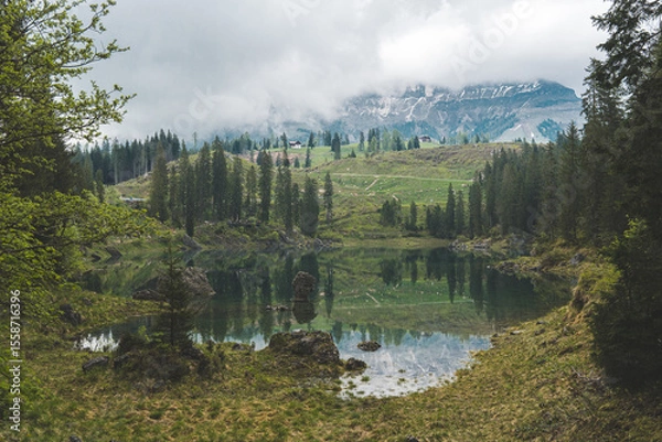 Fototapeta Lake Carezza in Dolomites, Italy, with green meadow, pine trees, and mountains reflected in the calm water on a cloudy day.