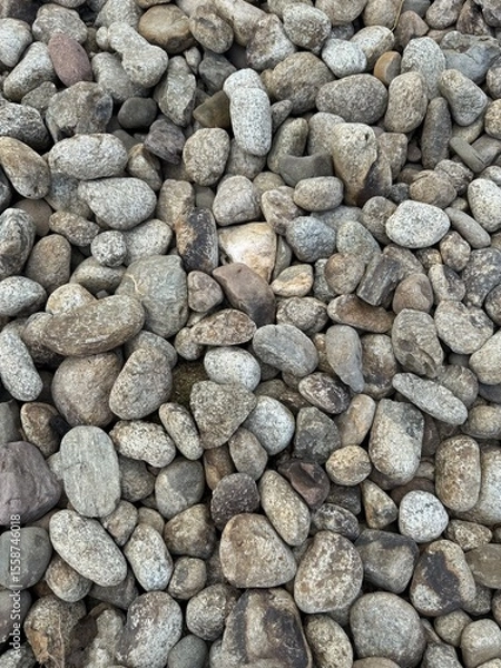 Fototapeta background of stone wall Close-up view of smooth gray river stones arranged closely together, showing natural texture and pattern.