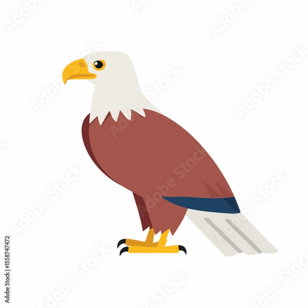 Obraz eagle on a white background
