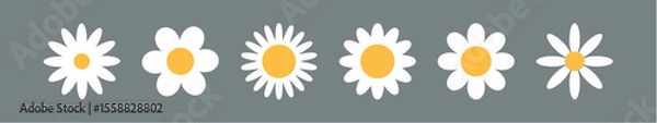Obraz Flower chamomile vector icon. Cartoon camomile white retro spring floral icon design set